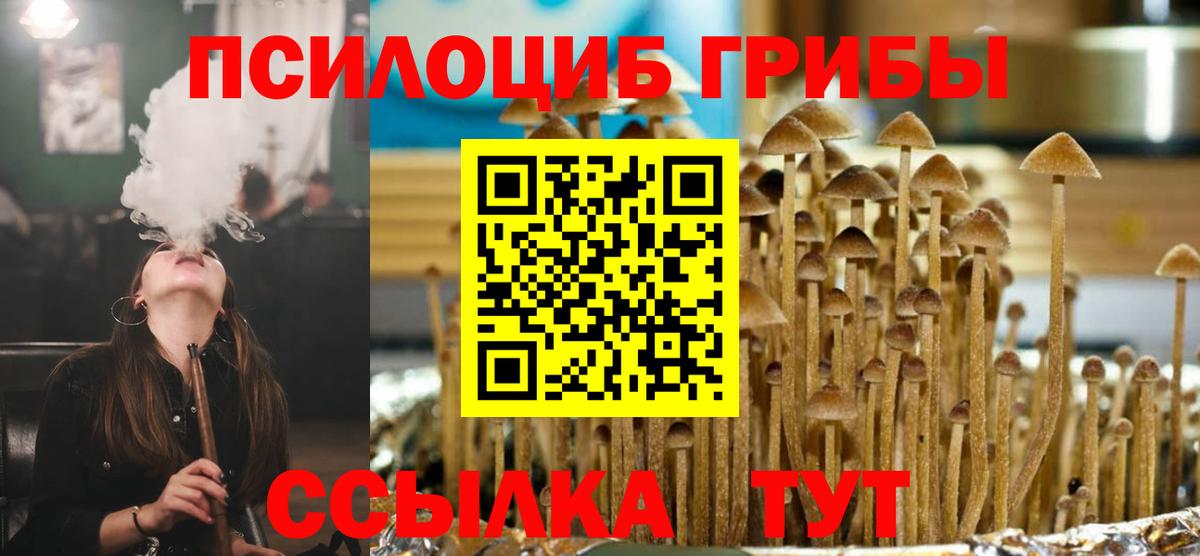 Псилоцибиновые грибы Cubensis  Вход с VPN  Псилоцибиновые грибы мицелий  Сокол 