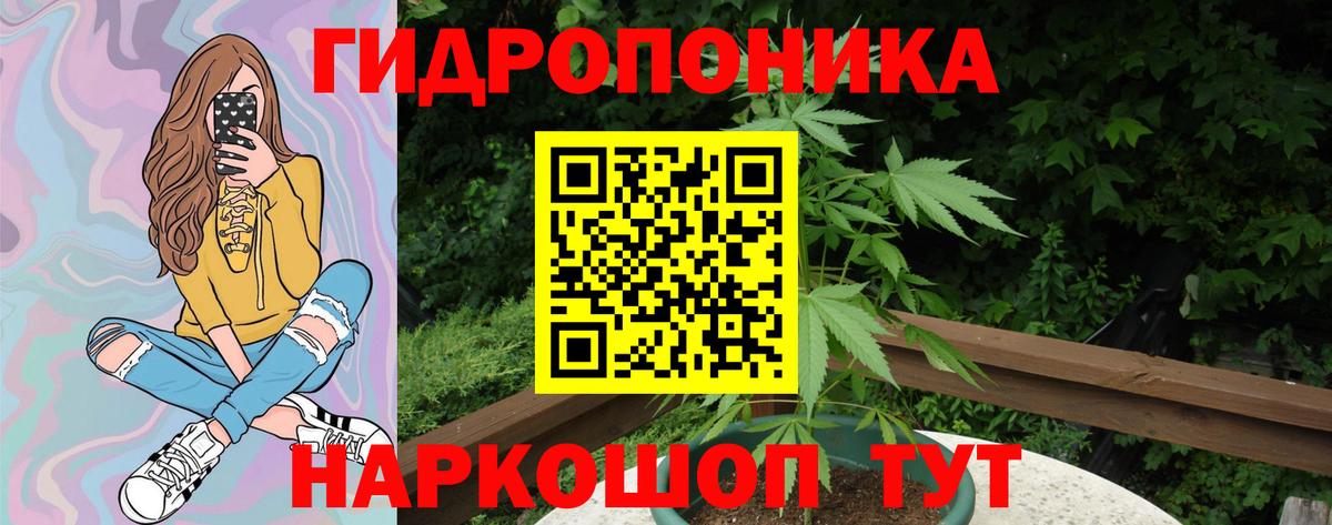 Шишки марихуана SATIVA & INDICA  Конопля Bruce Banner  МАРИХУАНА SATIVA & INDICA  Вход с VPN  Сокол 